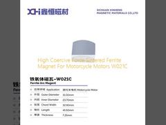 High Coercive Force Sintered Ferrite Magnet For Motorcycle Motors  W021C